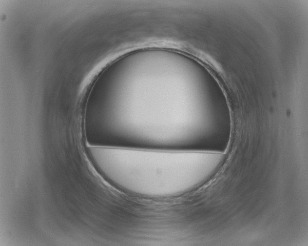 X0000080811504200612151044