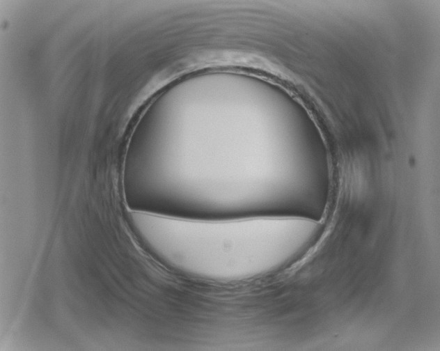 X0000080811505200612151044