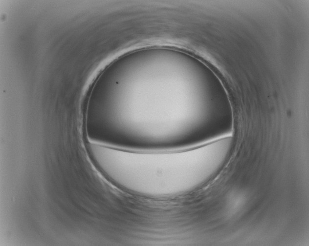 X0000080811508200612151044