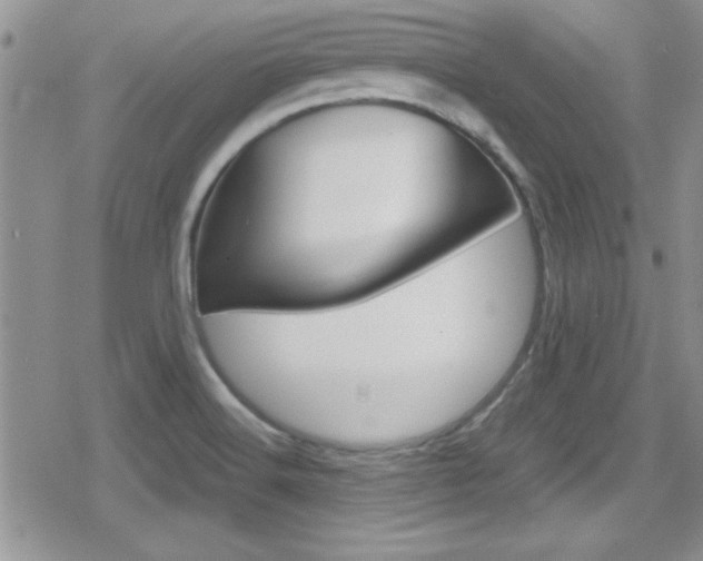 X0000080811516200612151045
