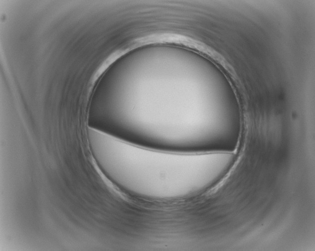 X0000080811521200612151045