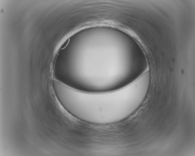 X0000080811524200612151045