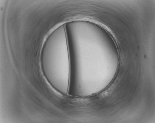 X0000080811525200612151045