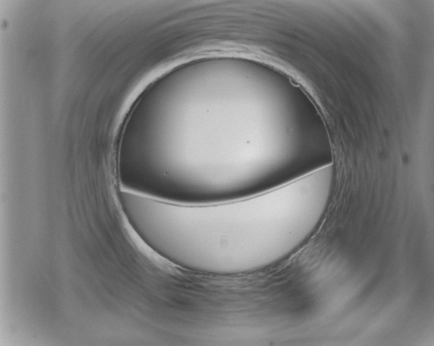 X0000080811531200612151045