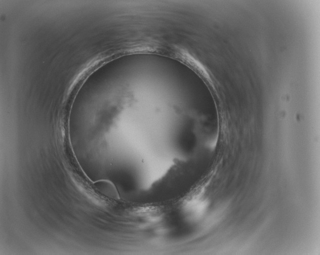 X0000080810059200612151539