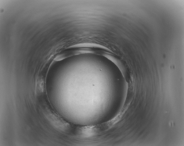X0000080810090200612151539