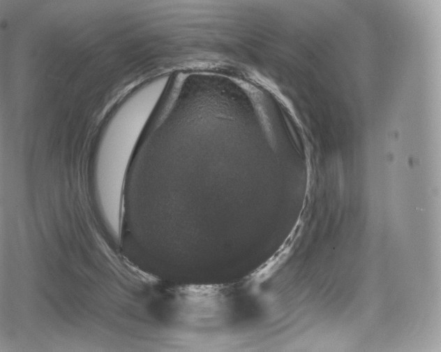 X0000080810154200612151537