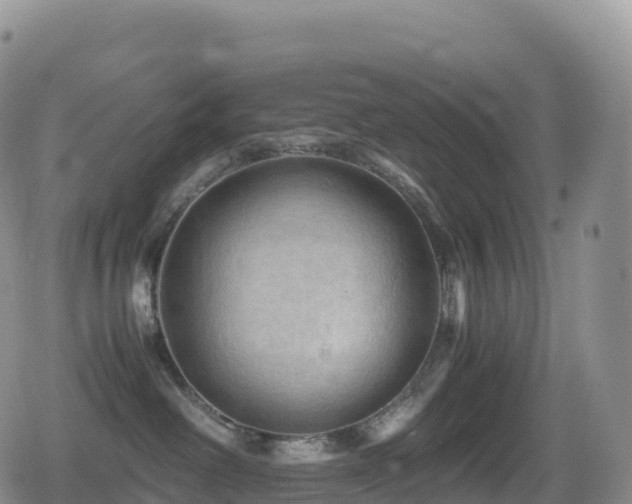 X0000080810238200612151536