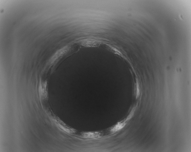 X0000080810239200612151536
