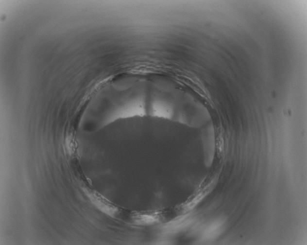 X0000080810285200612151536