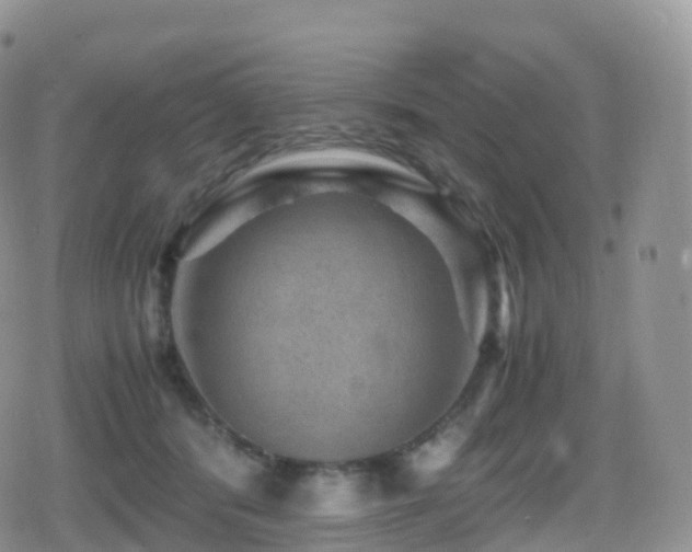 X0000080810416200612151533