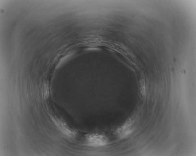 X0000080810471200612151533
