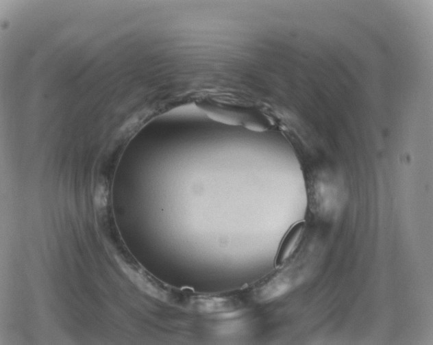 X0000080810472200612151533