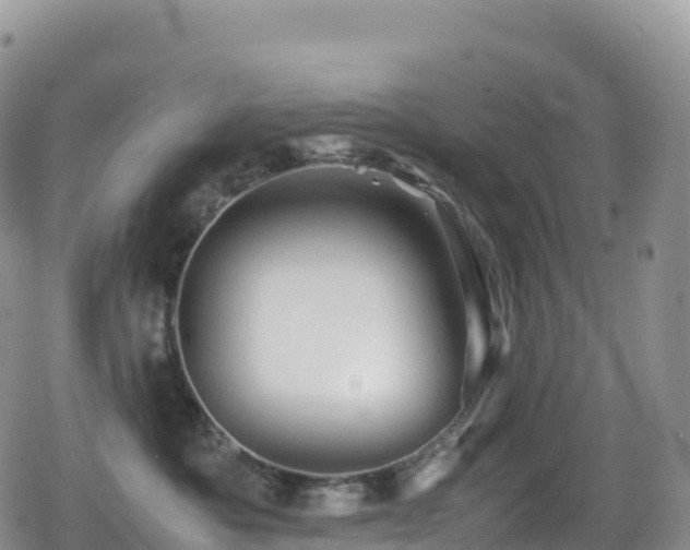 X0000080810525200612151531