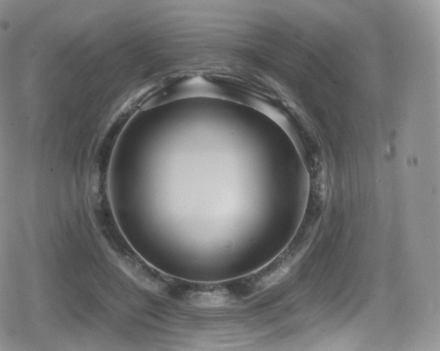 X0000080810548200612151531