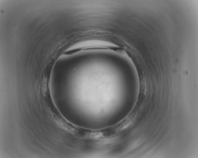 X0000080810554200612151531