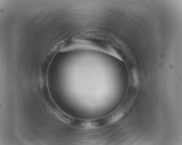 X0000080810558200612151531