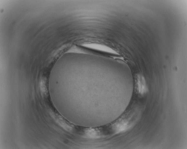 X0000080810616200612151530