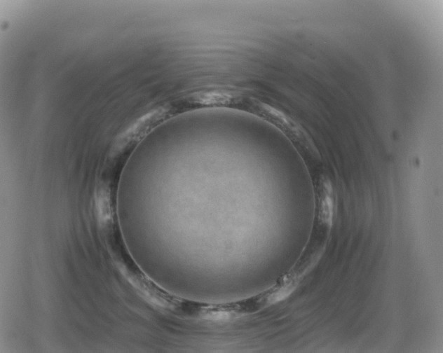 X0000080810620200612151530