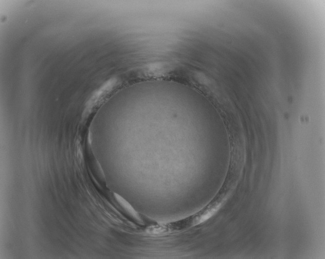 X0000080810624200612151530