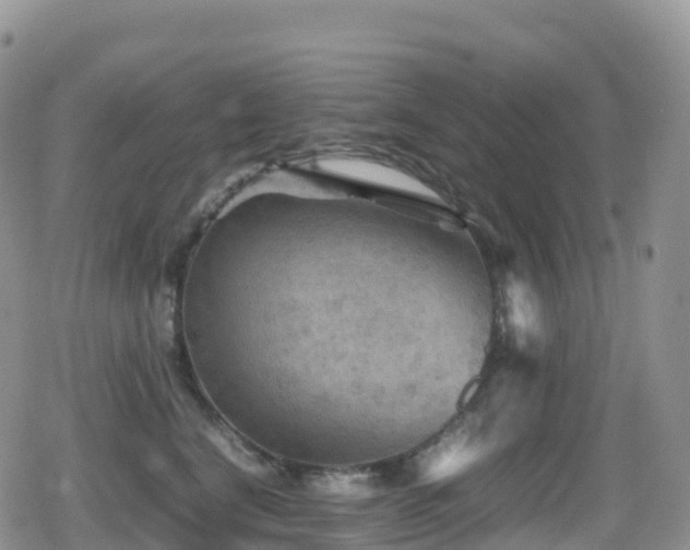 X0000080810664200612151530