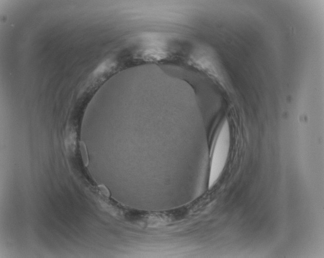 X0000080810697200612151529