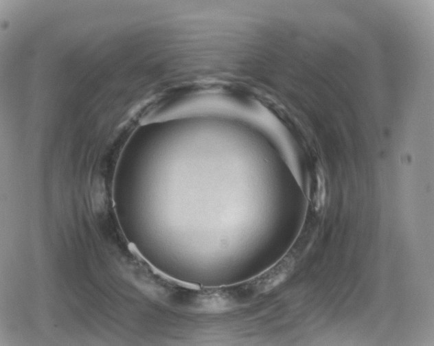 X0000080810704200612151528