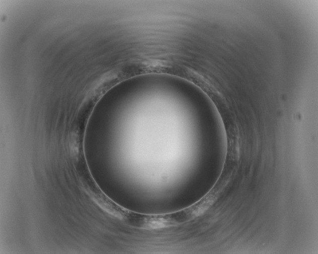 X0000080810710200612151528