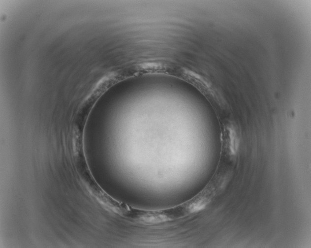 X0000080810712200612151528