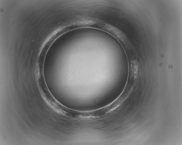 X0000080810726200612151527