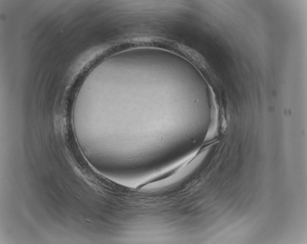 X0000080810728200612151527
