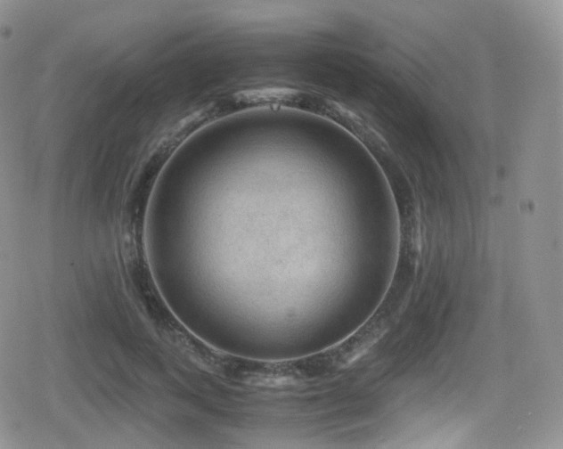 X0000080810743200612151528