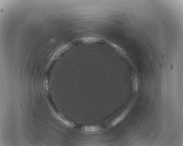 X0000080810766200612151528