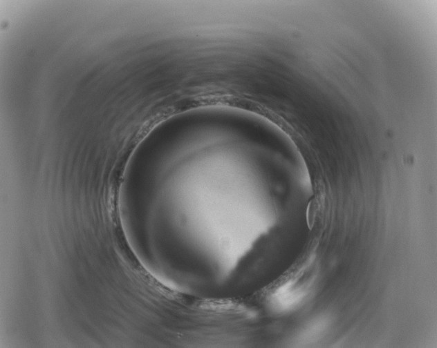 X0000080810767200612151528