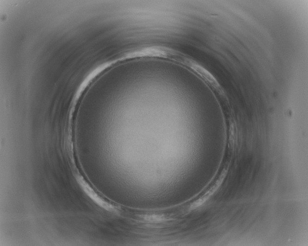 X0000080810800200612151527