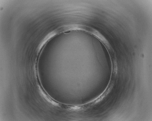 X0000080810806200612151527