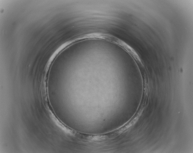 X0000080810808200612151527