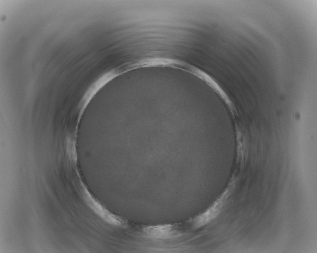 X0000080810810200612151527