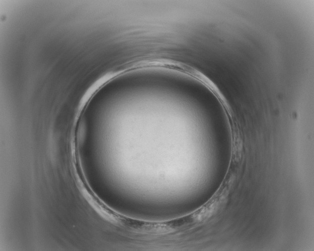 X0000080810811200612151527