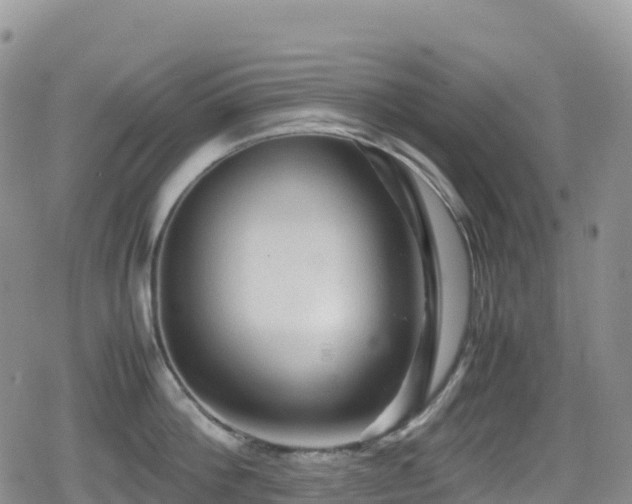 X0000080810812200612151527