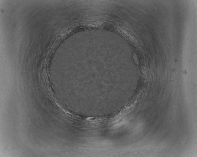 X0000080810817200612151526