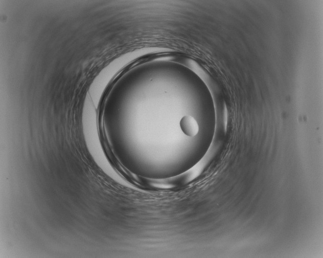X0000080810818200612151526