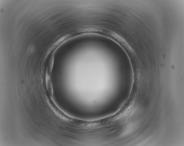 X0000080810841200612151526