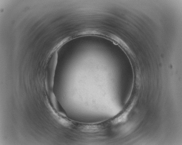 X0000080810849200612151526