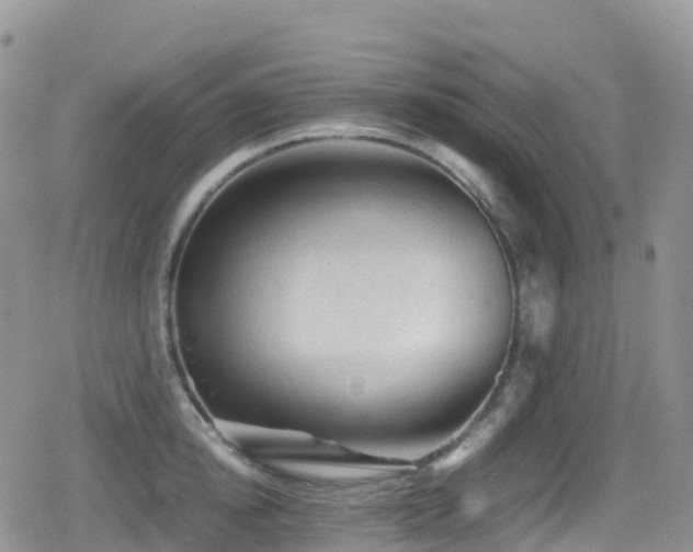 X0000080810854200612151526