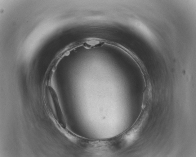X0000080810862200612151527