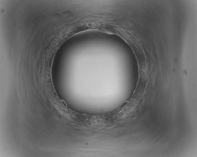 X0000080810865200612151526