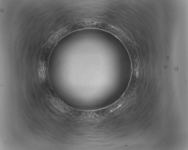X0000080810866200612151526