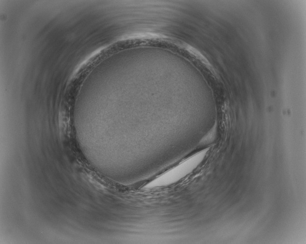 X0000080810872200612151526