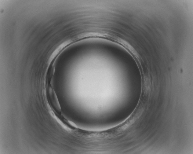 X0000080810898200612151525